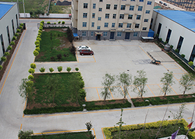 荷蘭網(wǎng)發(fā)貨