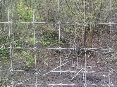 西藏鹿網(wǎng)圍欄