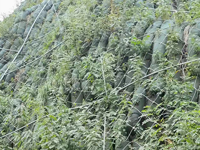 邊坡防護(hù)網(wǎng) 邊坡防護(hù)網(wǎng)